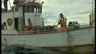 Fishing cod at Soroya norway [upl. by Aryl121]