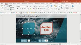 How to copy paste design formatting in PowerPoint [upl. by Naillimxam672]