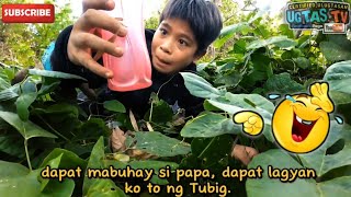 Tumawa Muna kayo sa mga ilonggo FunnyComedy videos😂 Tagalog Subtitle👍 [upl. by Namwob433]