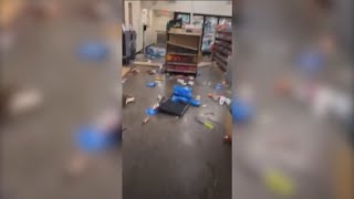 Video captures juveniles ransacking Wawa in Philadelphia [upl. by Eirrahs39]