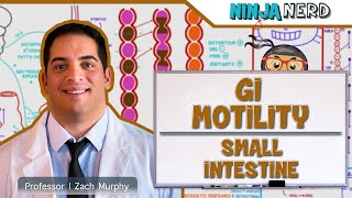 Gastrointestinal  GI Motility of the Small Intestine [upl. by Dougy]