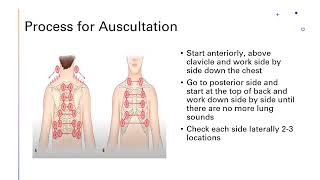 Thorax and Lung Assessment Part 5 VIDEO 12 mins [upl. by Anura]