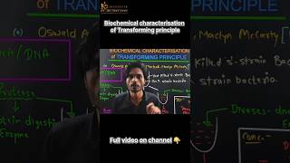 Biochemical Characterisation of Transforming Principle Molecular Basis of Inheritance  Class 12 [upl. by Qulllon269]