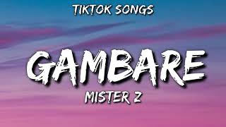 Gambare  Mister z TikTok Songs audio [upl. by Horst]