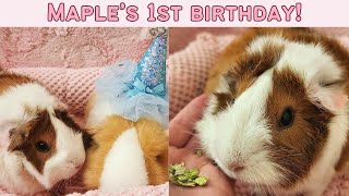 Maples 1st birthday [upl. by Kelci]