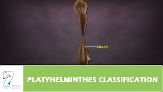 PLATYHELMINTHES CLASSIFICATION [upl. by Gnanmas]