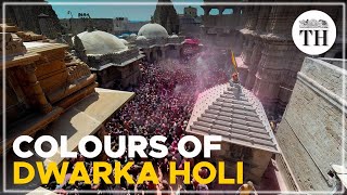 How is Holi celebrated in Dwarka [upl. by Weatherley980]