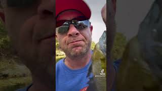 Smacking Panfish fishing BoydOutdoors [upl. by Gunn]