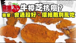 牛樟芝抗癌？專家：會通殺好、壞細胞別亂吃  健康問蘋果  台灣蘋果日報 [upl. by Emyle]