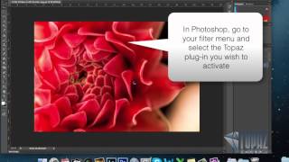 How to enter your license key into Topaz Labs [upl. by Shuma]