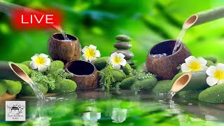 🔴 Relaxing Music 247 Peaceful Music Insomnia Sleep Music Calming Music Meditation Music Sleep [upl. by Nor]