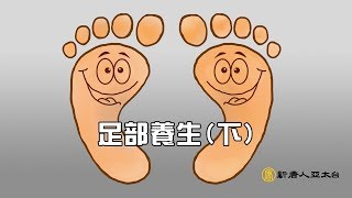 腳底按摩自己來，健康跟著來 ｜談古論今話中醫372 [upl. by Anella213]