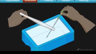 Cryotop Embryo Vitrification Animation [upl. by Ahsauqram]