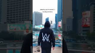 Alan walker come back Jakarta Indonesia [upl. by Hauser962]