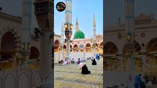 Short Clip  Best Naat Collection  Medley Mix Naat Sharif  Beautiful Naat Shareef shorts naat [upl. by Gabbey]