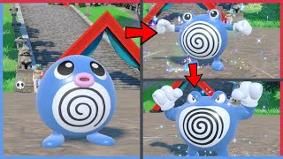 How to Evolve Poliwag into Poliwhirl then Poliwrath in Pokemon Scarlet amp Violet DLC [upl. by Alyce]