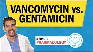 Pharmacology  Vancomycin vs Gentamicin Antibiotics nursing RN PN NCLEX [upl. by Yrram]