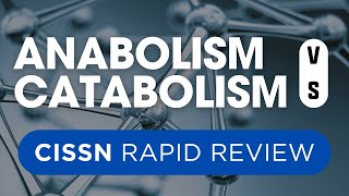 Rapid Review CISSN Anabolism vs Catabolism [upl. by Ellehs]