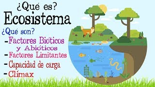 🌎Ecosistema  Factores Bióticos y Abióticos 🌿  Fácil y Rápido  BIOLOGÍA [upl. by Spalla]