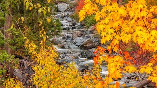 Hiking The Ingalls Creek Trail [upl. by Nnaylrebmik]