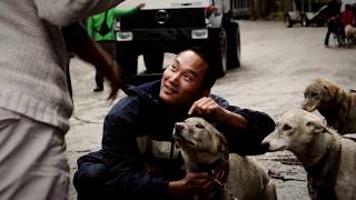 Mushers Camp and Sled Dog Adventure  Skagway Alaska [upl. by Aramanta]