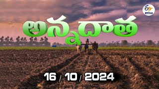 అన్నదాత  16th October 2024  Annadata  Full Bulletin  ETV Andhra Pradesh [upl. by Callum]