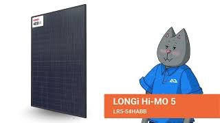 LONGi HiMO 5 400W Solar Panel Review [upl. by Atazroglam713]