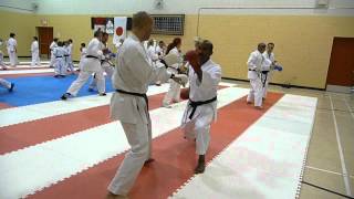 Shotokan Karateka vs Wado Ryu Karateka  Kumite Defense Deflecting Drills  Antonio Oliva Seba 2012 [upl. by Nessaj]