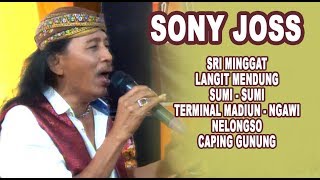 FULL SONY JOSS Sri Minggat Live Tangerang [upl. by Napas492]