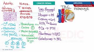 Urología  Cancer renal [upl. by Atnomed]