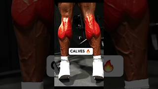 Sculpt Strong Calves  Effective Workout Tips and Exercises [upl. by Halonna132]