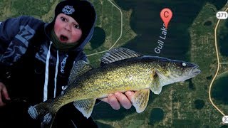 Ice Fishing Gull Lake Walleyes quotCatch N Cookquot [upl. by Maurili668]