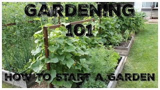 Gardening 101 How To Start A Garden [upl. by Donnamarie890]