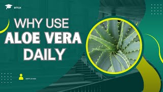 Unlocking the Secrets 7 Amazing Health Benefits of Aloe Vera [upl. by Nylloh]