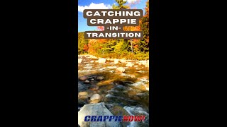 Fall Crappie Fishing Expert Tips for Catching Aggressive Slabs 🎣 [upl. by Acalia806]