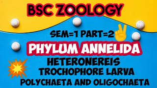 BSC ZOOLOGYANNELIDAHETERONEREISTROCHOPHOREIN മലയാളം [upl. by Sousa]