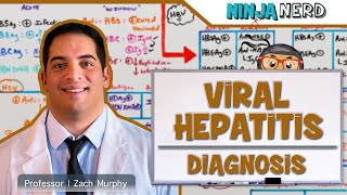 Hepatitis  Diagnosis of Viral Hepatitis [upl. by Nolyag]