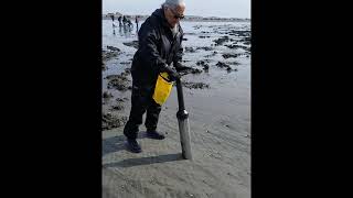 Ocean Shores  Clamhawk [upl. by Reggy]