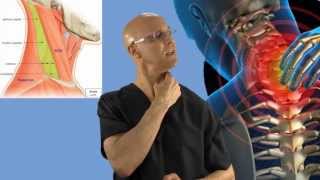 90Second Relief Technique for a Stiff Neck Wry Neck Torticollis  Dr Mandell [upl. by Alhsa]