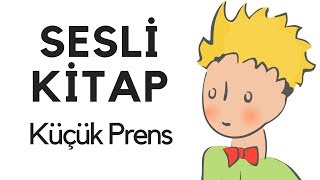 Küçük Prens Sesli Kitap Dinle Oku Tek Parça Masal Abbas Tekin [upl. by Redd12]