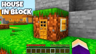 Whats INSIDE the TINY HOUSE in the GRASS BLOCK in Minecraft  SMALLEST HOUSE [upl. by Airaet]