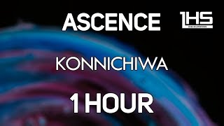 Ascence  Konnichiwa  1 Hour Version [upl. by Isa]