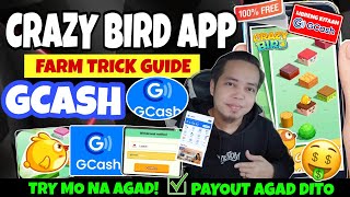 Crazy Bird  Crazy Bird App Farm Trick Guide  200 Pesos Libreng Kitaan sa Gcash  Crazy Bird App [upl. by Rikki88]