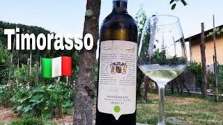 ASSAGGIO amp RECENSIONE VINO BIANCO TIMORASSO vitigno MONFERRATO [upl. by Compton]