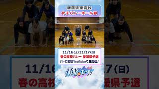 春高バレー2024県予選に向けて🏐 [upl. by Gerta]