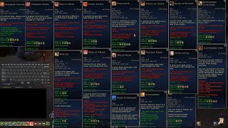 Lotro 2024 Warden Endgame Guide [upl. by Eirrok514]