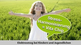 StressHarmonisierung durch den Vita Chip [upl. by Akinad782]