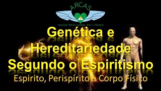 Genética e Hereditariedade Segundo o Espiritismo  Espírito Perispírito e Corpo Físico 5 [upl. by Nangatrad]