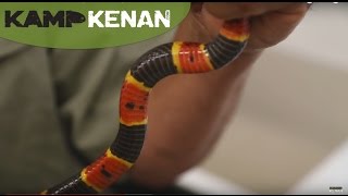 Coral Snake Venom  Kamp Kenan S2 Episode 5 [upl. by Mike]