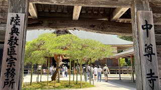 平泉中尊寺 Chusonji Temple Hiraizumi world heritage Japan 2024年4月28日GW [upl. by Marcile868]